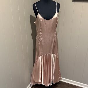B34 Cachet by Bari Protas Women Light Blush Satin Maxi Slip Dress Mermaid